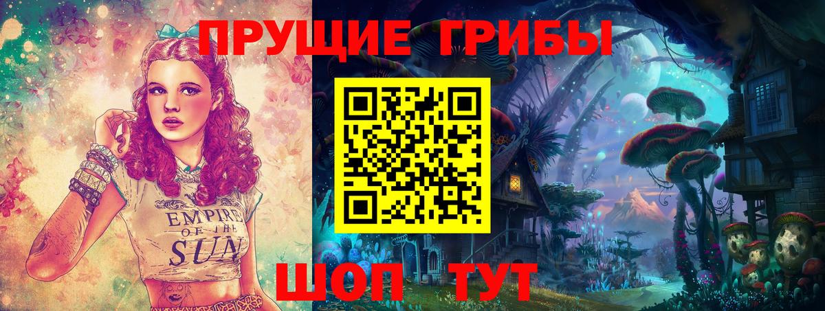 Галлюциногенные грибы Psilocybine cubensis  Вход с VPN  Арзамас 